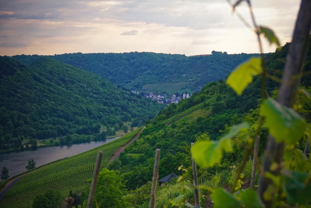 Hotel Sewenig Müden Exteriör bild
